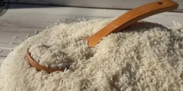 تصویر 1 از قیمت خرید برنج فجر نورآباد با فروش عمده